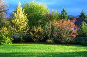 The Complete Guide to Artificial Turf Installation in Dubai: Pros, Cons and Best Practices