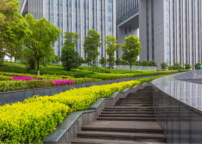 Commercial Landscape