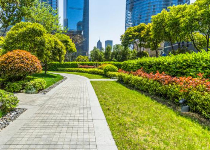 Commercial Landscape