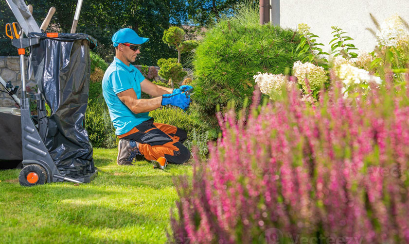 best landscape company dubai