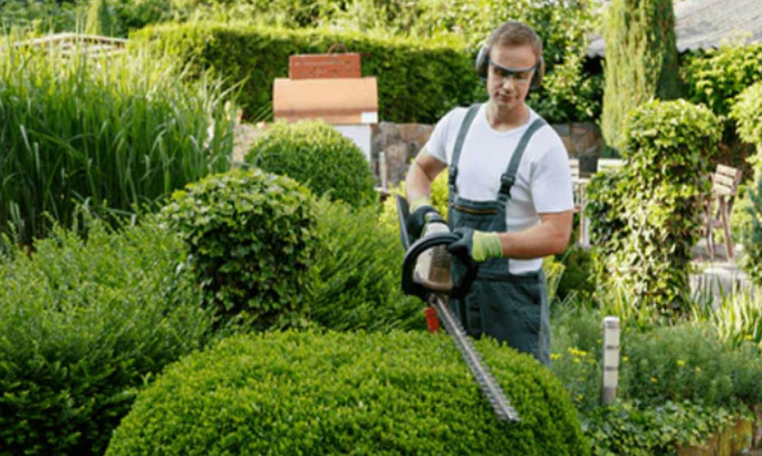 best landscape company dubai