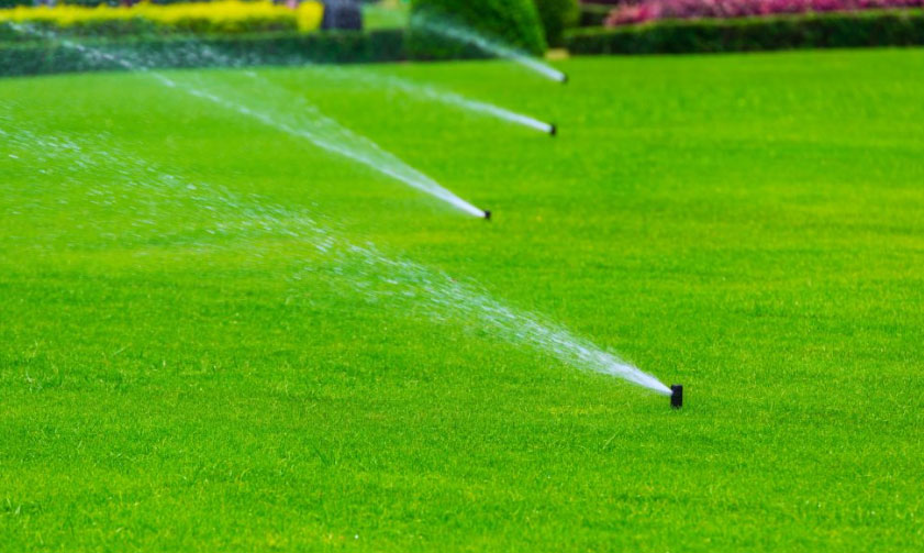 Irrigation System Work