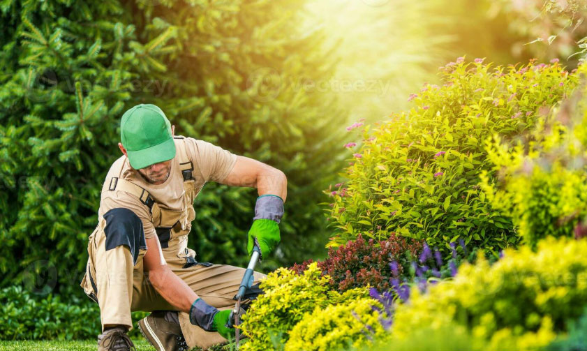 best landscape company dubai