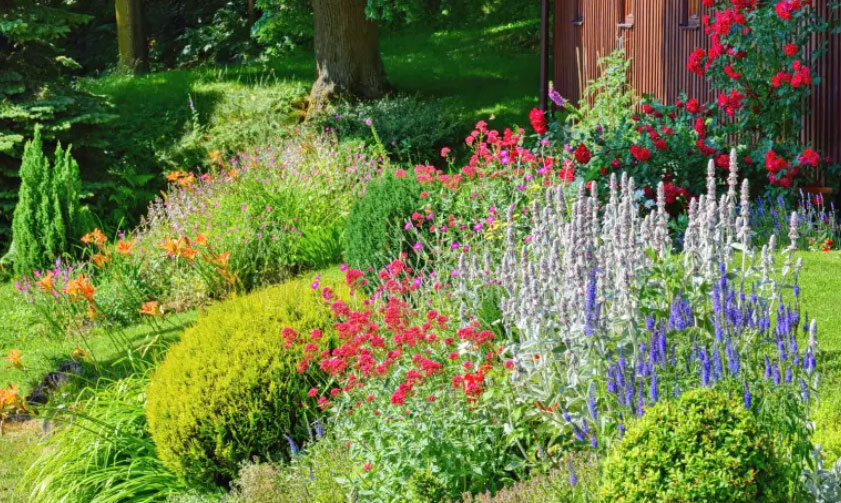 best landscape company dubai